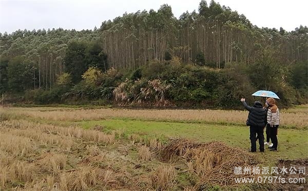 潍坊市陈老师带着爱徒寻龙点穴